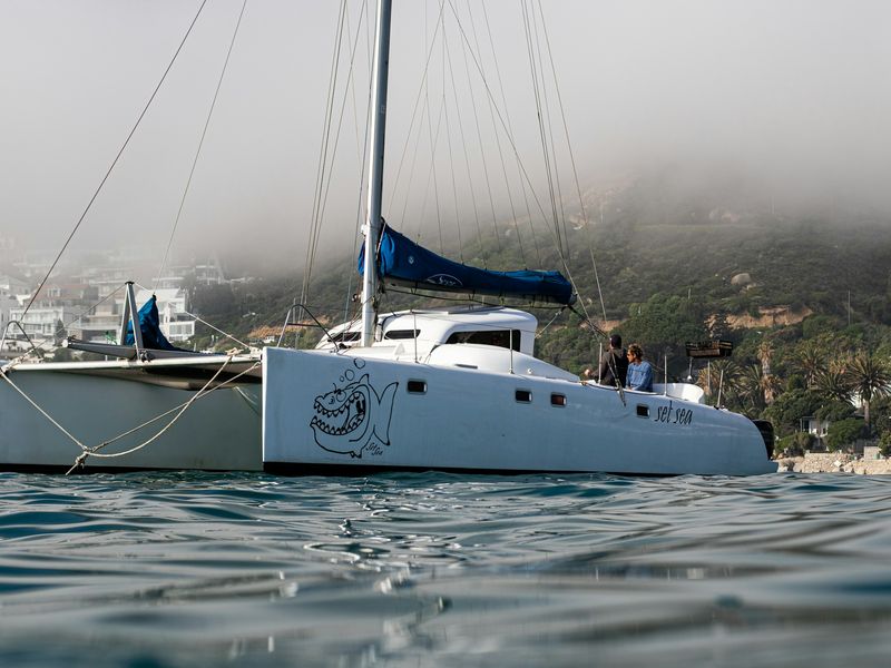 Catamarán anclado en el mar
